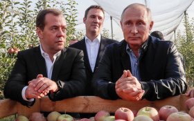 Медведев рассказал сенаторам о правильном произношении слова «свёкла»